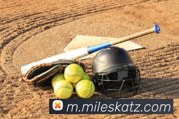 米乐m6发展历程